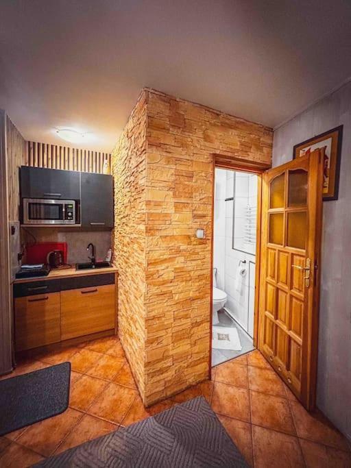 Mieszkanie W Centrum Zakopane Esterno foto
